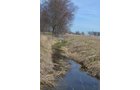 Property photo 138 - REAL ESTATE & PERSONAL PROPERTY AUCTION, 140 Acres offered in 8 Tracts or Combinations in Steuben County